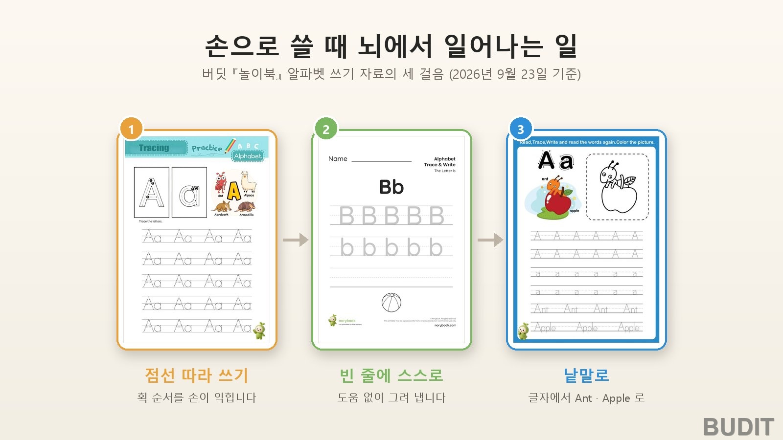 손으로 쓸 때 뇌에서 일어나는 일 『손글씨와 학습』